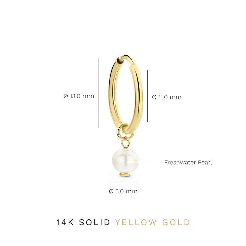 Delia Crest Earrings | Gold 14k - Image 4